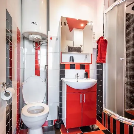 Spacious Loft With One Bedroom And A Big Terrace Apartment Belgrade